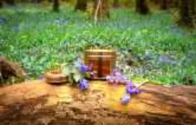 Irish soy wax candle in a copper tin sitting on a log in a forest setting of wild bluebells.